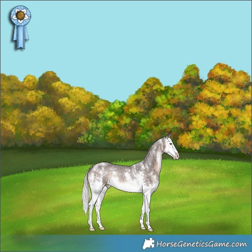 Horse Color:Silver Brown Sabino Splash Rabicano 