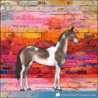 Horse Color:Liver Chestnut Tobiano 
