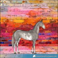 Horse Color:Silver Smoky Black Sabino Rabicano 