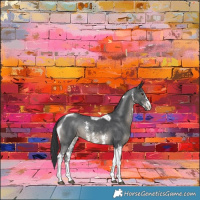 Horse Color:Black Sabino Tobiano Rabicano 