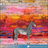 Horse Color:Smoky Black Sabino Rabicano 