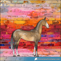 Horse Color:Buckskin Dun Sabino Rabicano