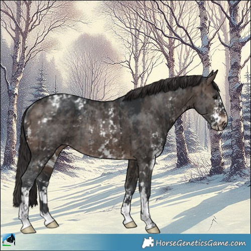 Horse Color:Brown Dun Mushroom Sabino Appaloosa Rabicano Brindle 