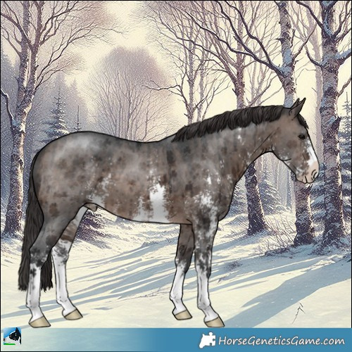 Horse Color:Brown Dun Mushroom Sabino Appaloosa Brindle 