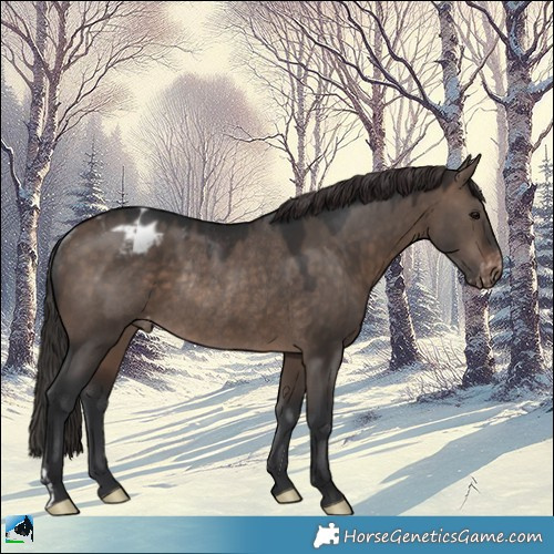 Horse Color:Brown Dun Mushroom Appaloosa Rabicano 