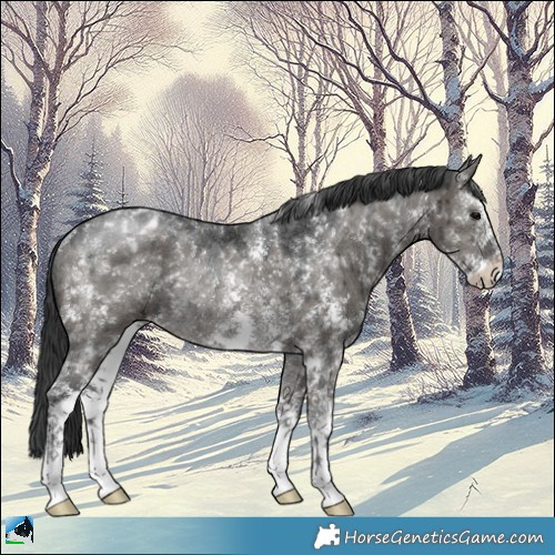 Horse Color:Grullo Sabino Appaloosa Rabicano Brindle 