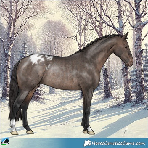 Horse Color:Brown Dun Mushroom Appaloosa Rabicano Brindle 