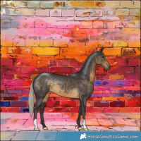 Horse Color:Silver Smoky Black Rabicano