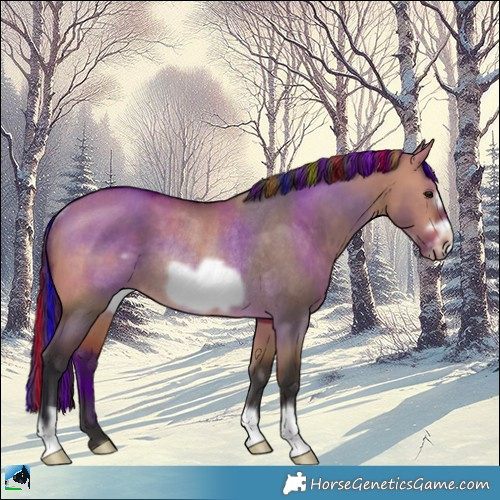 Horse Color:Painted Bay Dun Frame Rabicano 