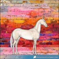 Horse Color:Silver Buckskin Pearl Dun Rabicano 