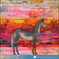 Horse Color:Silver Smoky Black Rabicano 