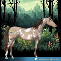 Horse Color:White Spotted Amber Champagne Dun 