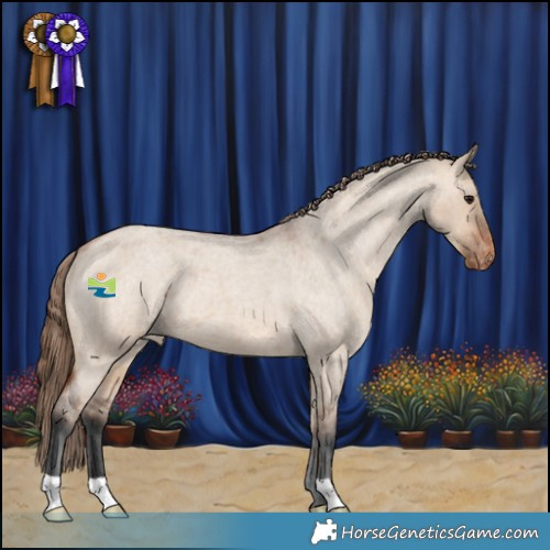 Horse Color:Bay Roan Dun Appaloosa 