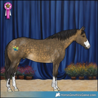 Horse Color:Buckskin Dun