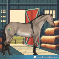Horse Color:Brown Dun 