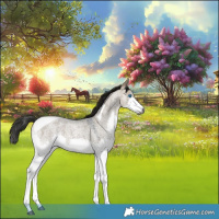 Horse Color:Gray Brown Roan Dun Splash Tobiano 