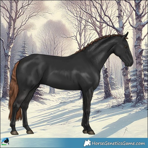 Horse Color:Liver Chestnut 