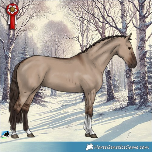 Horse Color:Liver Red Dun Tobiano 