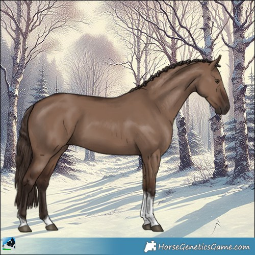 Horse Color:Liver Red Dun Tobiano 