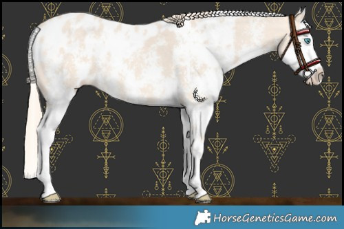 Horse Color:Perlino Sabino  and Perlino Sabino Near Leopard 