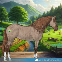 Horse Color:Liver Red Dun Brindle 