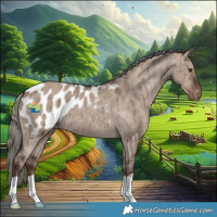 Horse Color:Liver Red Dun Mushroom Appaloosa Brindle 