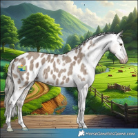 Horse Color:Liver Red Dun Mushroom Appaloosa Brindle