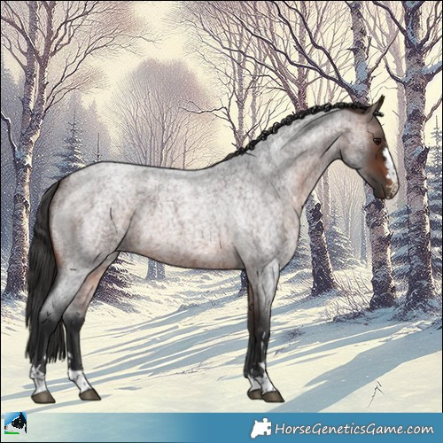 Horse Color:Brown Roan 
