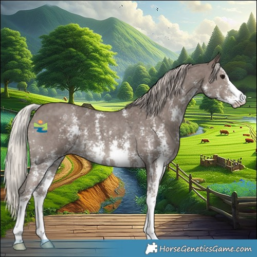 Horse Color:Silver Black Sabino 