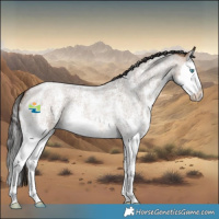 Horse Color:Brown Roan Dun Sabino Splash 