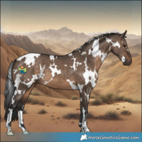 Horse Color:White Spotted Brown Dun 