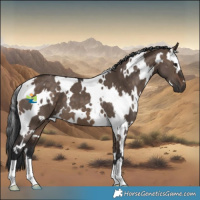 Horse Color:White Spotted Brown Dun 