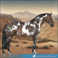 Horse Color:White Spotted Brown Dun 
