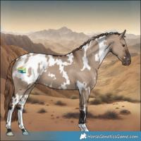 Horse Color:White Spotted Liver Red Dun Appaloosa 