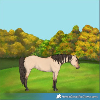 Horse Color:Bay Dun