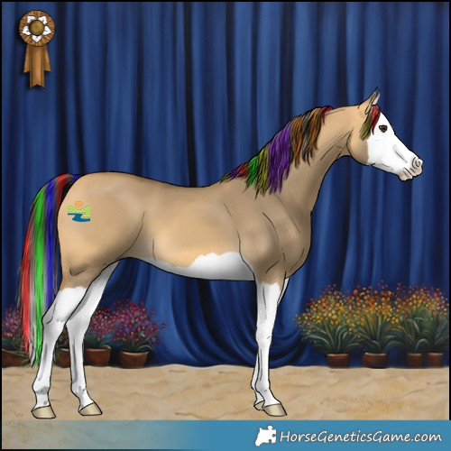 Horse Color:Painted Buckskin Dun Splash 