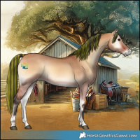 Horse Color:Painted Bay Onyx 