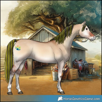 Horse Color:Painted Bay Onyx 