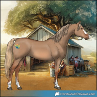 Horse Color:Red Dun 