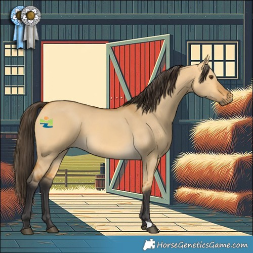 Horse Color:Buckskin Dun 