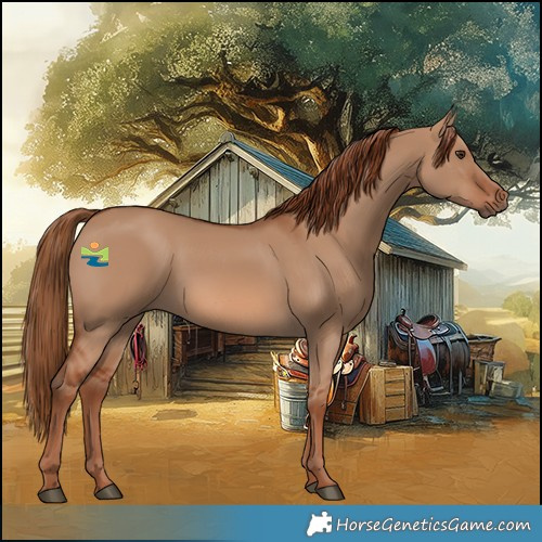Horse Color:Red Dun 