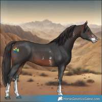Horse Color:Brown Sabino