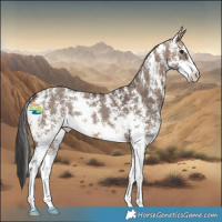 Horse Color:Brown Dun Sabino 