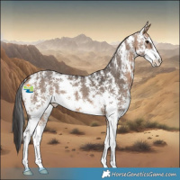 Horse Color:Brown Dun Sabino