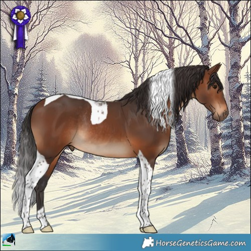 Horse Color:Brown Tobiano Rabicano 
