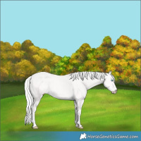 Horse Color:Silver Smoky Creme 
