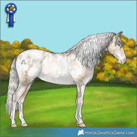Horse Color:White Spotted Silver Buckskin Pearl Appaloosa Rabicano 