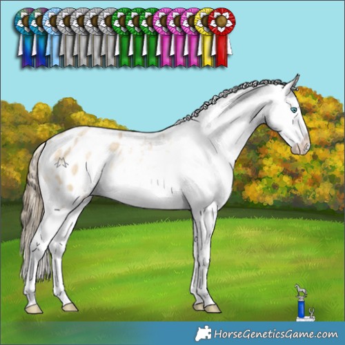 Horse Color:White Spotted Buckskin Pearl Dun Splash Appaloosa Rabicano 