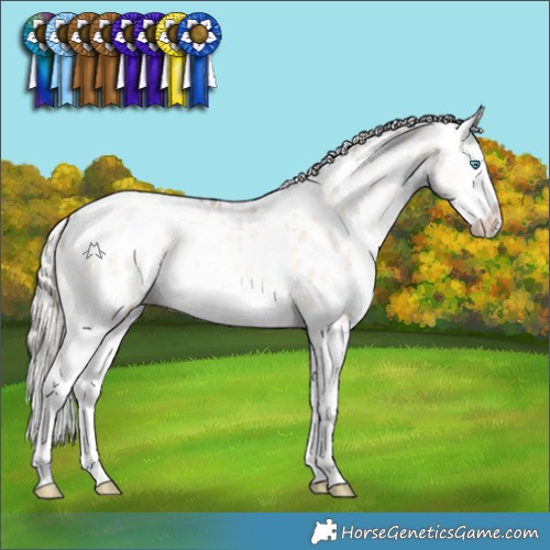 Horse Color:White Spotted Silver Buckskin Pearl Dun Sabino Splash Appaloosa Rabicano 