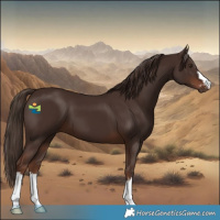 Horse Color:Liver Chestnut 